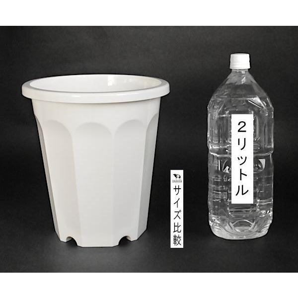 植木鉢 10角 長鉢 白 8号(直径24.5×高さ26.3cm) : 100円雑貨