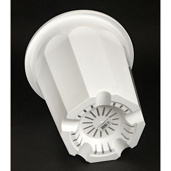 植木鉢 10角 長鉢 白 8号(直径24.5×高さ26.3cm) : 100円雑貨