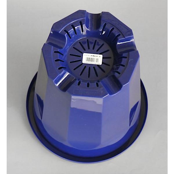 植木鉢 10角 長鉢 紺 8号(直径24.5×高さ26.3cm) : 100円雑貨