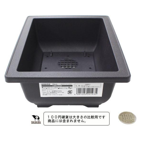 盆栽鉢角型 19cm (100円ショップ 100円均一 100均一 100均) : 100円