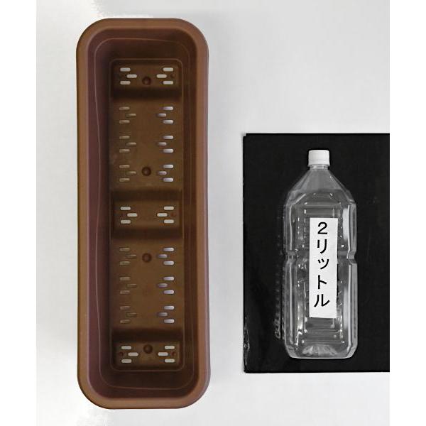 プランター リトルガーデン 長角 53×18×高さ14cm : 100円雑貨&日用品卸