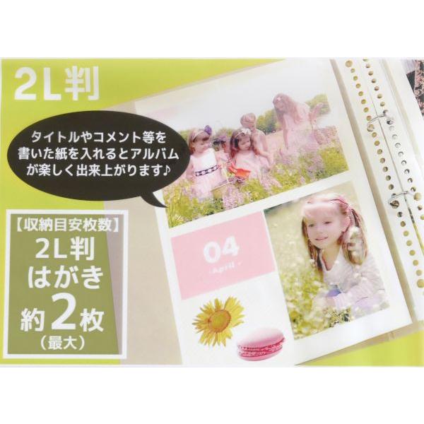 ファイルアルバム台紙 30穴 3枚入 (100円ショップ 100円均一 100均一