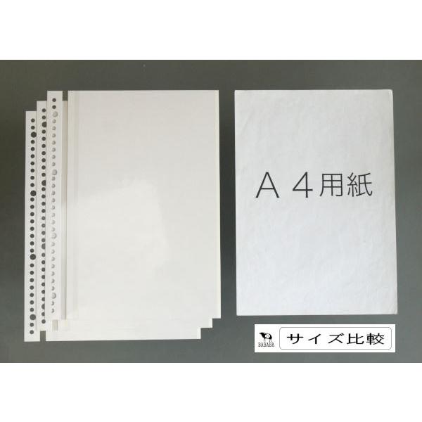ファイルアルバム台紙 30穴 3枚入 (100円ショップ 100円均一 100均一
