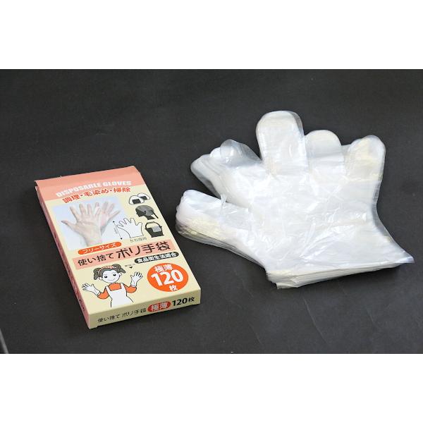 使い捨てポリ手袋 極薄タイプ 左右両用 120枚入 (100円ショップ 100円