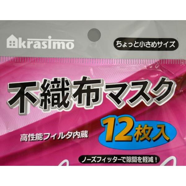 ちょっと小さめサイズ不織布マスク 12枚入 (100円ショップ 100円均一