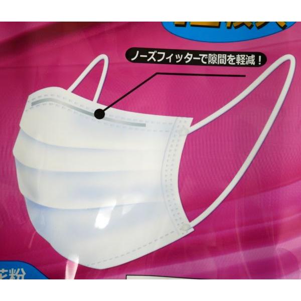ちょっと小さめサイズ不織布マスク 12枚入 (100円ショップ 100円均一