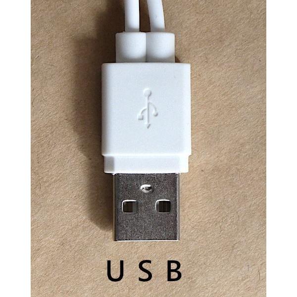 USB A to Micro-B/Type-C ホワイトケーブル 充電専用ケーブル Type-C+microB 5V/2.4A 白 ケーブル長20cm : 100円