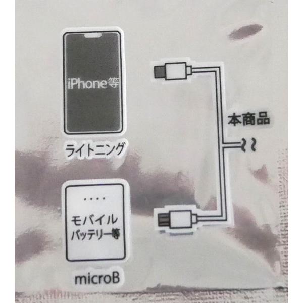 microB+iPhone対応充電専用ダブルケーブル ケーブル長20cm : 100円雑貨