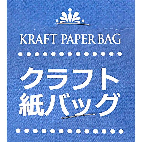 クラフト紙バッグ M(21×27×マチ11cm) 4枚入 (100円ショップ 100円均一