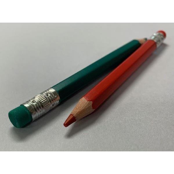 消せる六角軸いろえんぴつ 消しゴム付 10cm 12色入 (100円ショップ 100