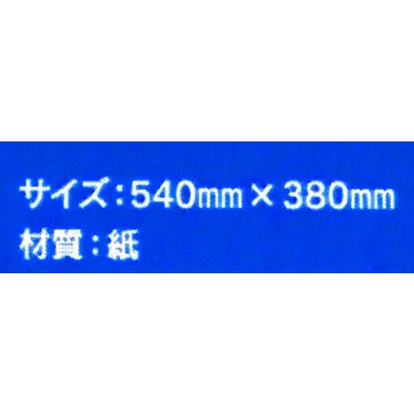 厚口画用紙 四つ切(54×38cm) 3枚入 (100円ショップ 100円均一 厚口画用紙 四つ切(54×38cm) 3枚入 (100円ショップ 100円均一