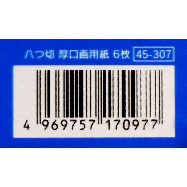 厚口画用紙 八つ切(38×27cm) 6枚入 (100円ショップ 100円均一 100均一
