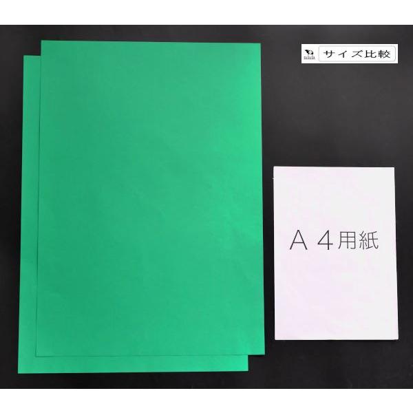 色画用紙 四つ切 みどり 54×38cm 2枚入 (100円ショップ 100円