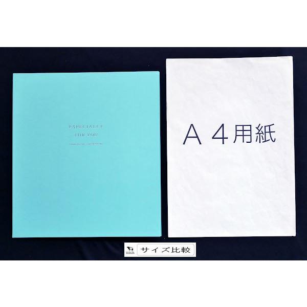 2つ折り色紙 サンクス&ラブ 27.2×48.9cm ［色指定不可］ (100円