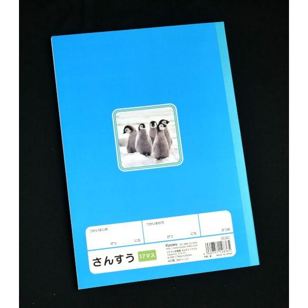 ステディ学習帳 さんすう 17マス 12mmマス 12×17 セミB5 40枚 (100円
