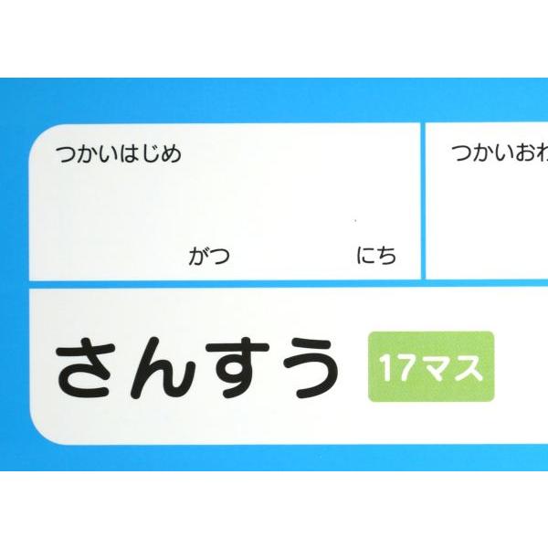 ステディ学習帳 さんすう 17マス 12mmマス 12×17 セミB5 40枚 (100円