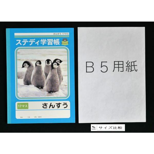 ステディ学習帳 さんすう 17マス 12mmマス 12×17 セミB5 40枚 (100円