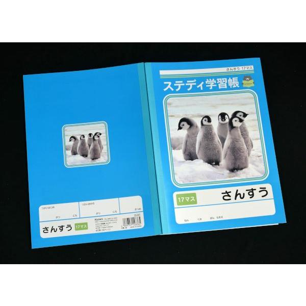 ステディ学習帳 さんすう 17マス 12mmマス 12×17 セミB5 40枚 (100円