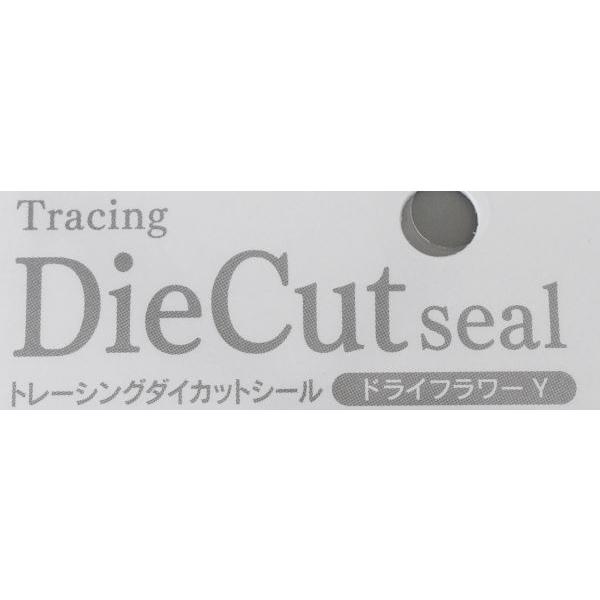 トレーシングダイカットシール ドライフラワーY 72片入 (100円ショップ 100円均一 100均一 100均)｜kawauchi｜06