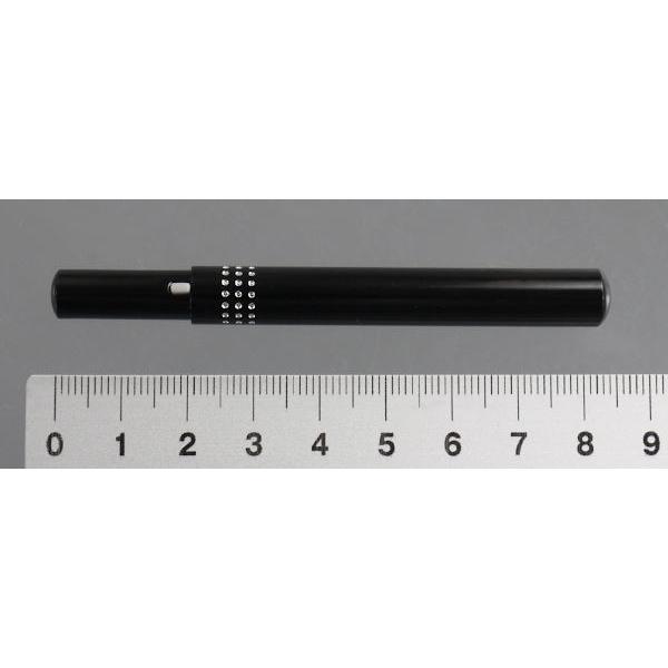 コンパクトリップブラシ キャップ付 (100円ショップ 100円均一