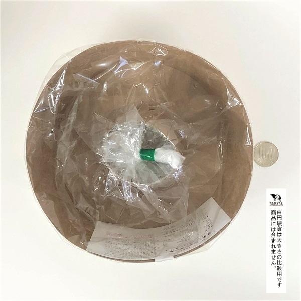 贅沢 シフォンケーキ型 クラフト ５号 １５ 高さ８ｃｍ その他製菓 製パン用品 Www We Job Com