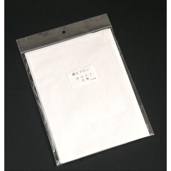 紙エプロン ホワイト 5枚入 (100円ショップ 100円均一 100均一 100均