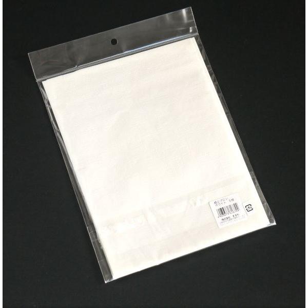 紙エプロン ホワイト 5枚入 (100円ショップ 100円均一 100均一 100均