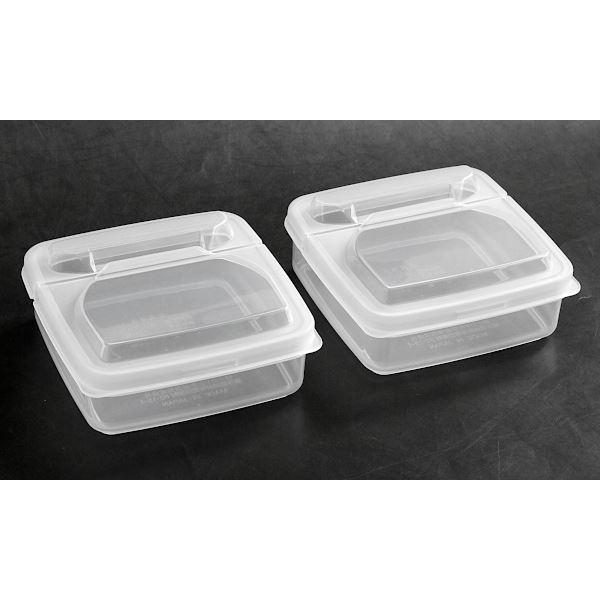 保存容器 オープンパック L4 容量250ml 2個入 (100円ショップ 100円