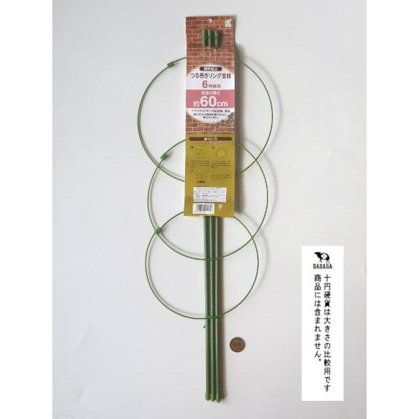 つる巻きリング支柱 6号鉢用 支柱の長さ60cm : 100円雑貨&日用品卸