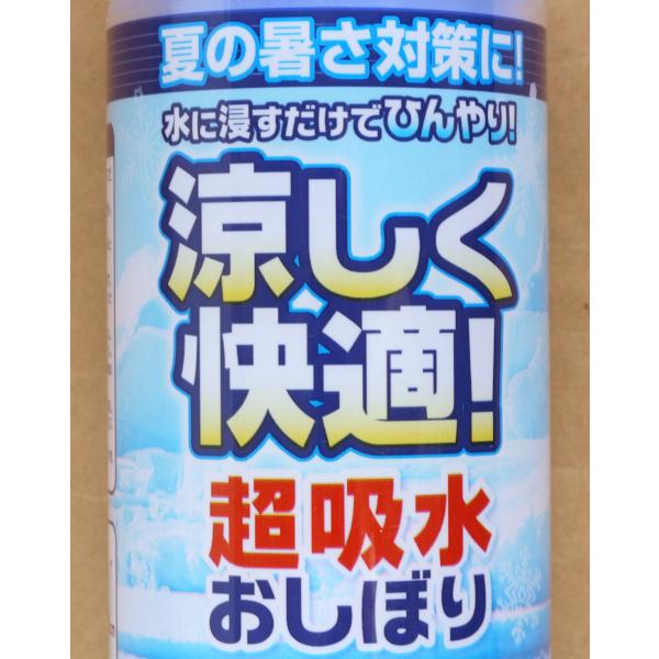 超吸水おしぼり 30×20cm ケース付 (100円ショップ 100円均一 100均一