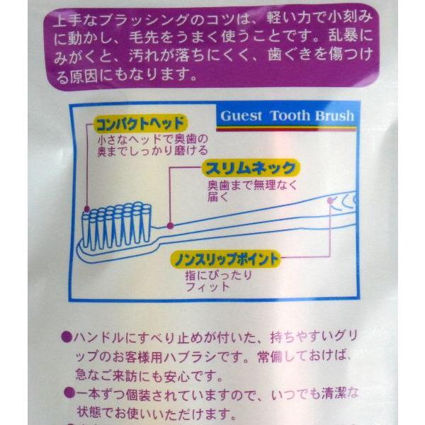 お客様用ハブラシ ふつう 3本入 (100円ショップ 100円均一 100均一 100