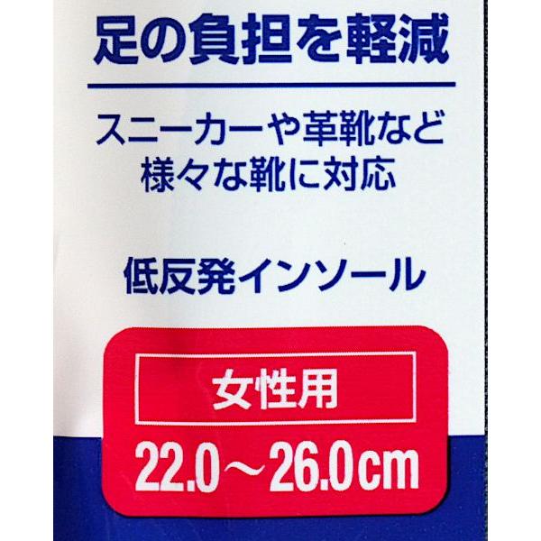 CD各種 500円均一！ まとめ買い割引あり！ インソール 低反発 抗菌 女性用 22.0~26.0cm (100円ショップ 100