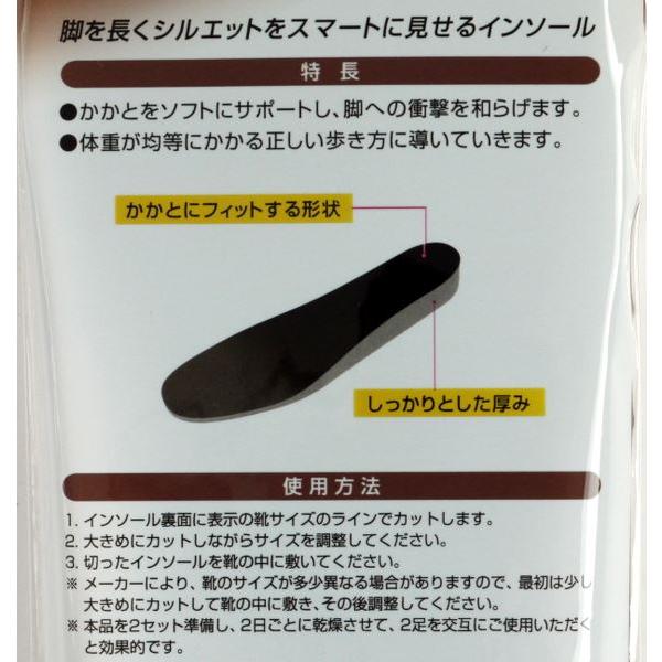 インソール リフレッシュ 脚長 男性用 フリーサイズ 24~28cm : 100円