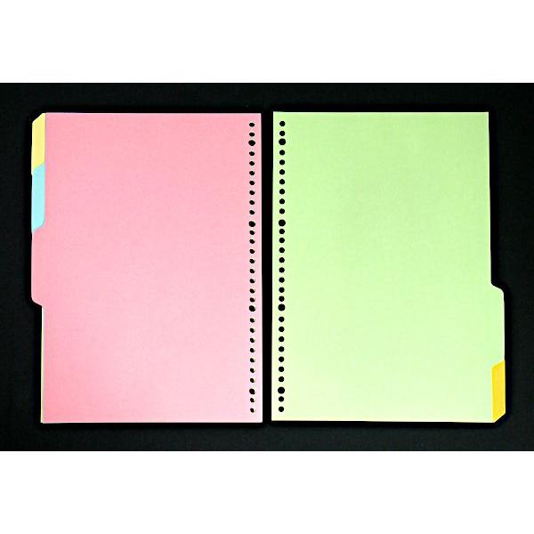 A4ルーズリーフカラー見出し 30穴 10枚(5山×2組)入 (100円ショップ 100