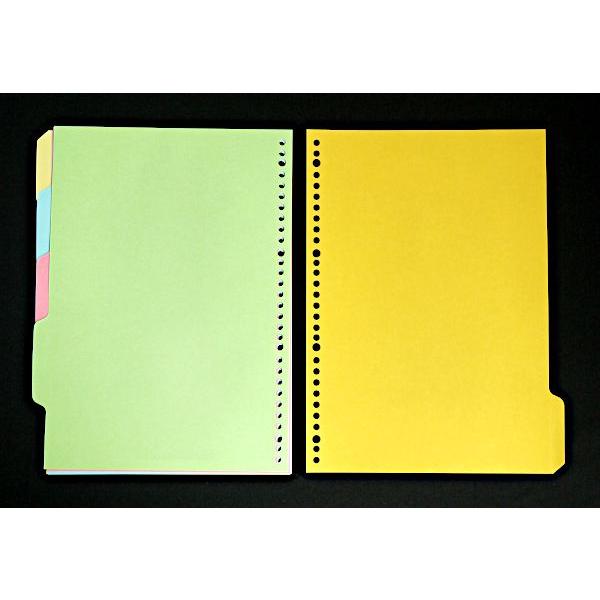 A4ルーズリーフカラー見出し 30穴 10枚(5山×2組)入 (100円ショップ 100