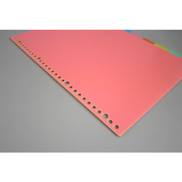 PPカラーインデックス A4サイズ 30穴 インデックス10枚入 (100円