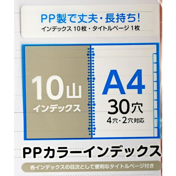 PPカラーインデックス A4サイズ 30穴 インデックス10枚入 (100円