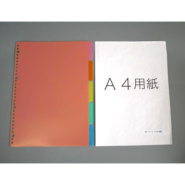 一枚100円 A4 PPカラーインデックス 5山×2セット入 (100円ショップ 100円均一 100