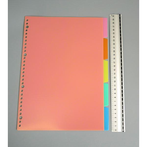 A4 PPカラーインデックス 5山×2セット入 (100円ショップ 100円均一 100