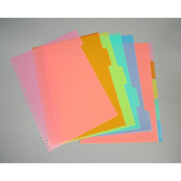A4 PPカラーインデックス 5山×2セット入 (100円ショップ 100円均一 100