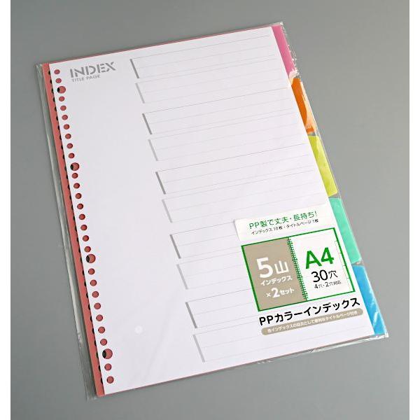 greenorange0505出品　本体+オプション各1点ずつ付属 A4 PPカラーインデックス 5山×2セット入 (100円ショップ 100円均一 100