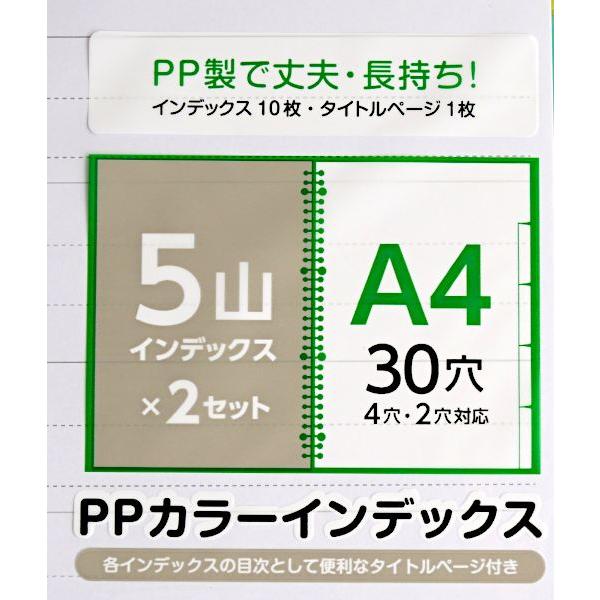 A4 PPカラーインデックス 5山×2セット入 (100円ショップ 100円均一 100