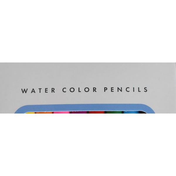水彩色鉛筆 10色入 (100円ショップ 100円均一 100均一 100均) : 100円