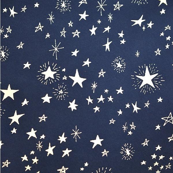 ペーパーバッグ 手提げ 縦型 星 Lサイズ(35×27×マチ11cm) 2枚入