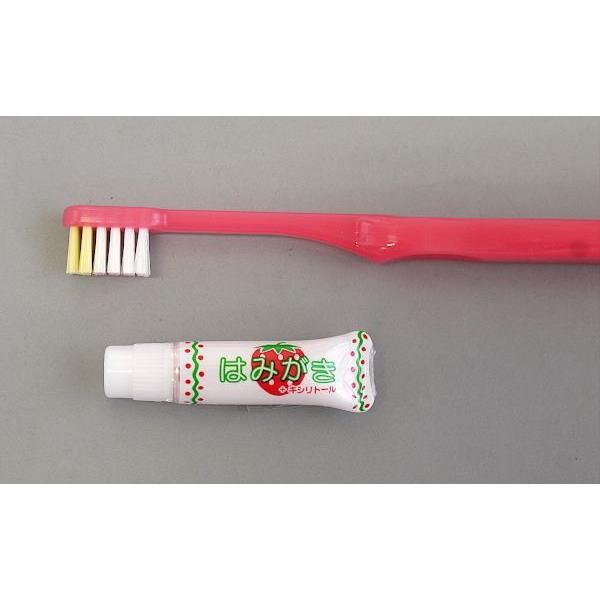 歯ブラシセット こども用 歯磨き粉 ケース付 色指定不可 2tgm542 100円雑貨 日用品卸 Bababa 通販 Yahoo ショッピング