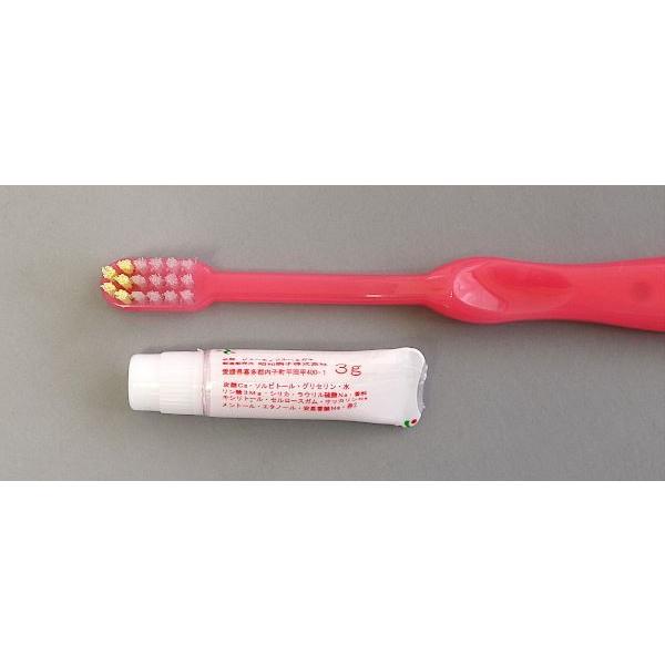 歯ブラシセット こども用 歯磨き粉 ケース付 色指定不可 2tgm542 100円雑貨 日用品卸 Bababa 通販 Yahoo ショッピング