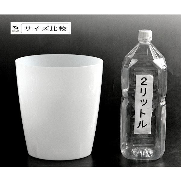 ダストボックス 楕円形 ホワイト 容量4.3L (100円ショップ 100円均一 100均一 100均)｜kawauchi｜02