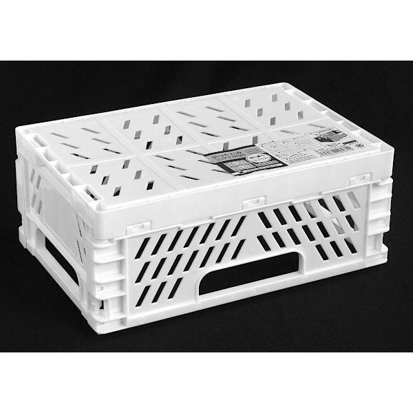 折りたたみコンテナ M90 ホワイト 22.3×14.8×高さ9.3cm (100円ショップ