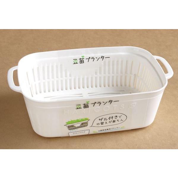 豆苗プランター ホワイト 21×12.5×高さ6.4cm (100円ショップ 100円均一