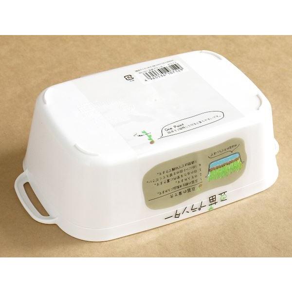 豆苗プランター ホワイト 21×12.5×高さ6.4cm (100円ショップ 100円均一